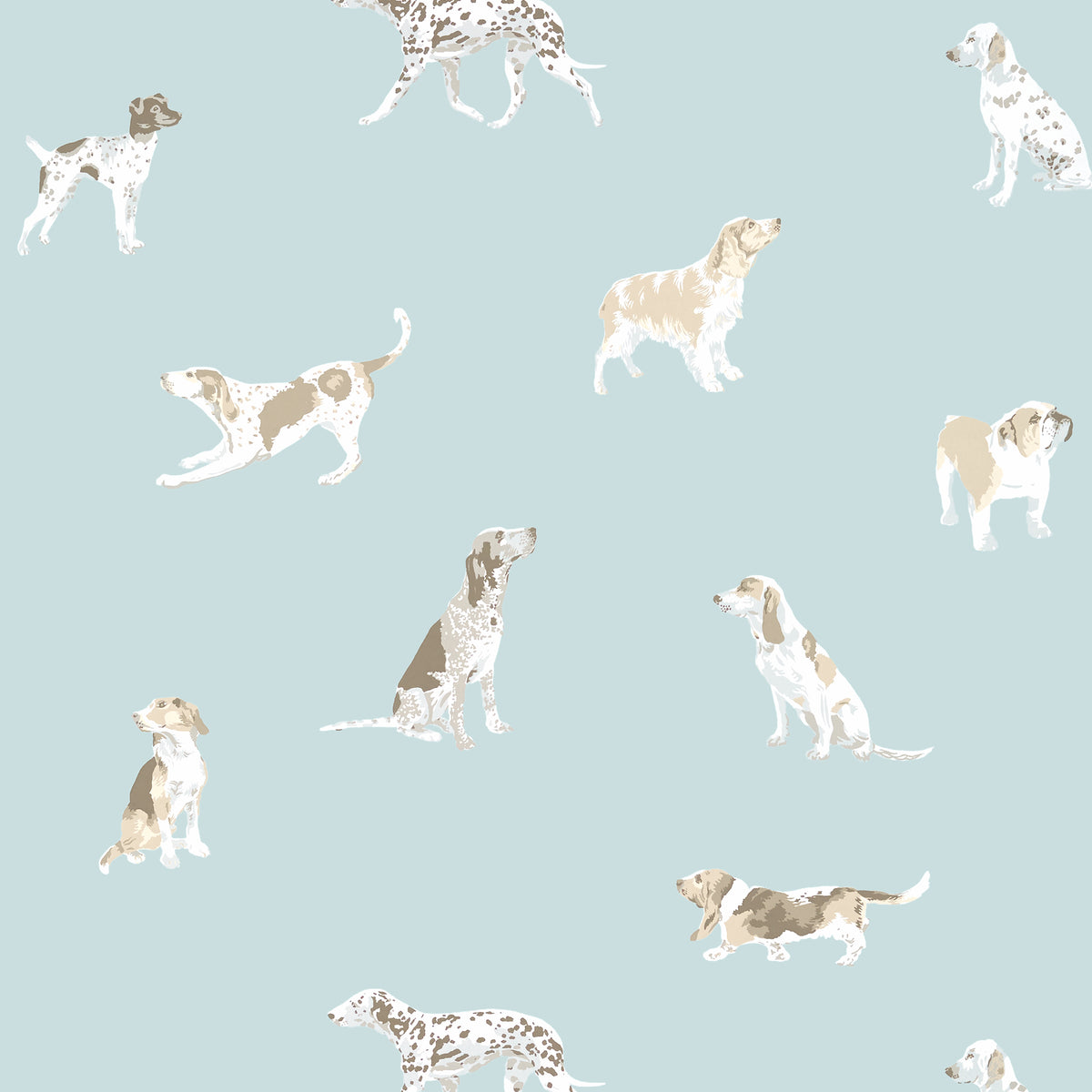 Thibaut BUDDY wallpaper, Robin's Egg